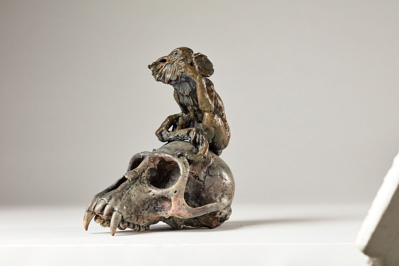 Kasper sculpteur _Ouistiti sur crâne de singe_ bronze
